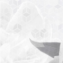 84-0014/Light Пион